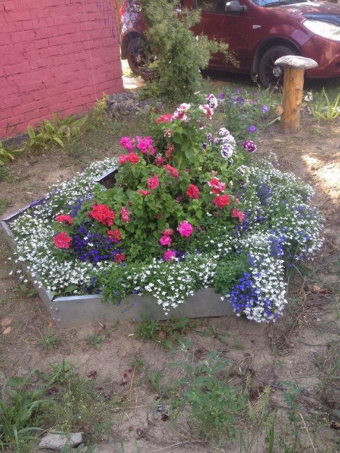 Клумба "Сота" 700 оцинкованная в Сочи